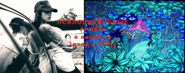 спайс Майский