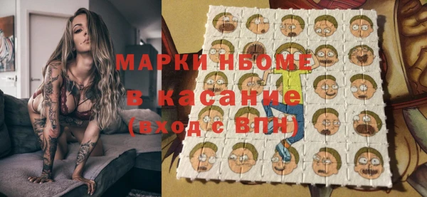 гидра Медвежьегорск