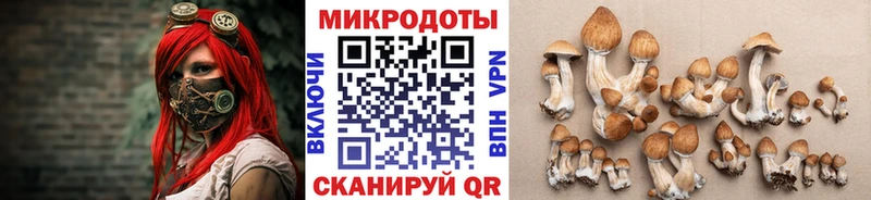 Купить закладки  Мичуринск  Галлюциногенные грибы мицелий 