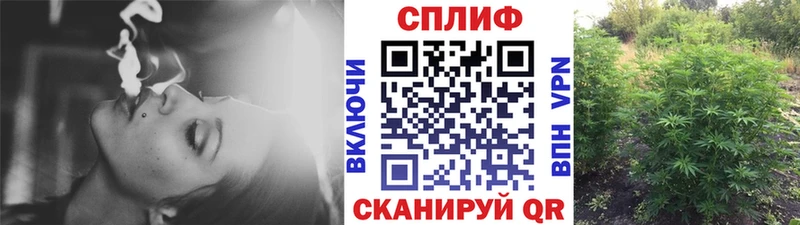 Бошки Шишки MAZAR Мичуринск